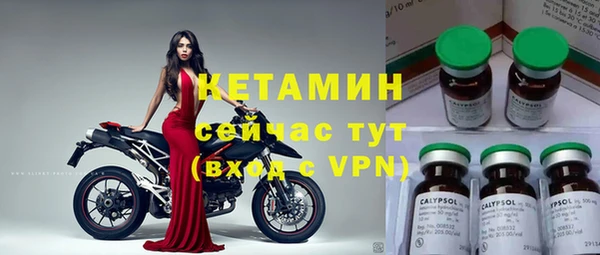 стаф Вяземский
