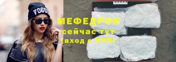 стаф Вяземский