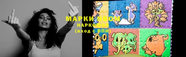стаф Вяземский