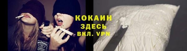 стаф Вяземский