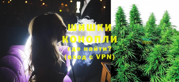 стаф Вяземский