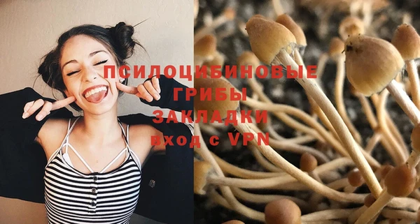 спайс Вязьма