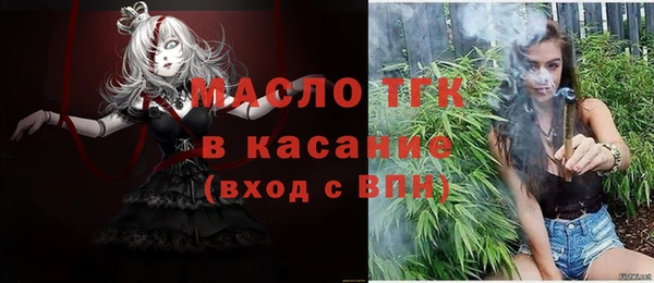 стаф Вяземский