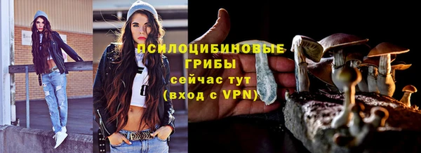 стаф Вяземский