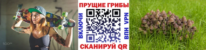Галлюциногенные грибы Magic Shrooms наркошоп Одинцово